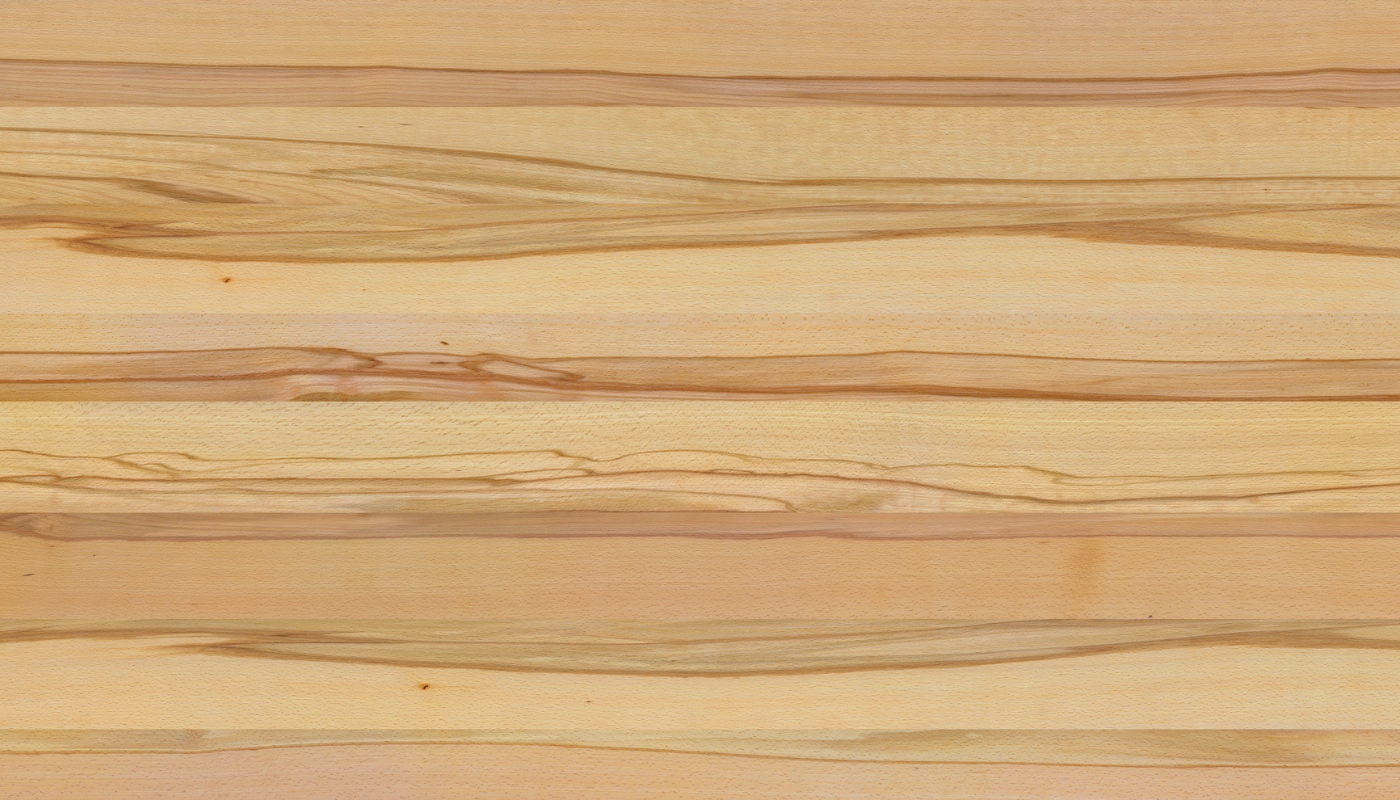 Hickory