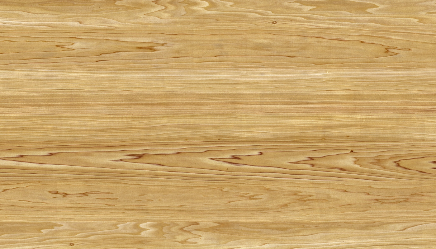 Poplar