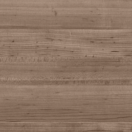 Hard Maple - Shale