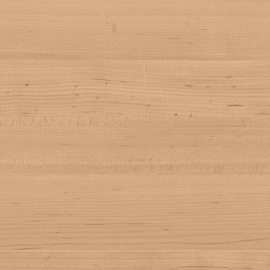 Hard Maple - Willow